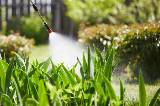 24/7 Emergency Mosquito Control experts in Allendale, NJ