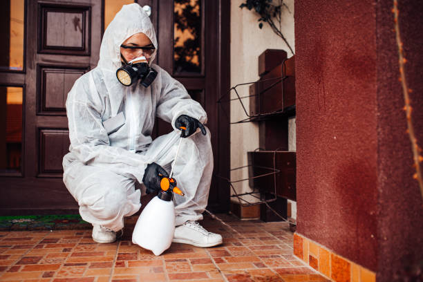 Reliable Mosquito Control contractor in Allendale, NJ by Show Me Pest Control